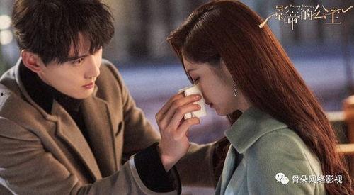 影帝的公主,影帝光环下的公主传奇