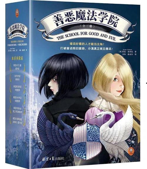 善恶魔法学院,魔法世界的善恶较量与成长之旅