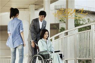 璀璨人生,探寻人生辉煌的奥秘与智慧