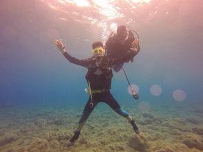 十一天十一夜5,探索十一天的奇幻旅程